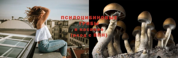 мяу мяу мука Михайлов