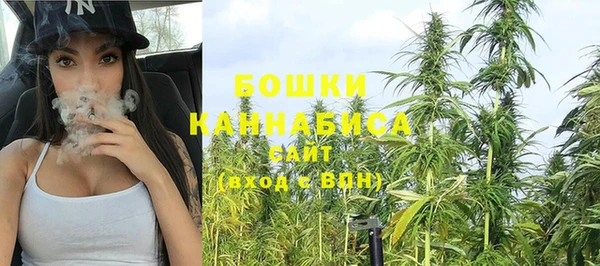гидропоника Белокуриха