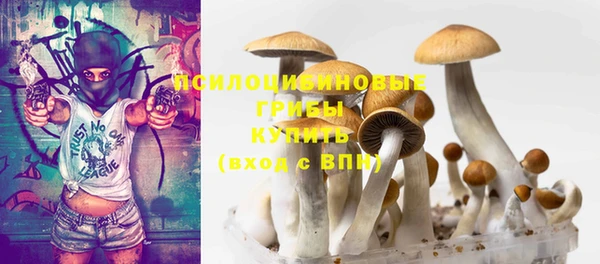гидропоника Белокуриха