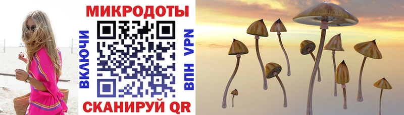 Псилоцибиновые грибы Magic Shrooms  купить  цена  Очёр 